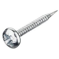 Screw nail